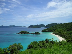 5019330338_b8309f21f0_z