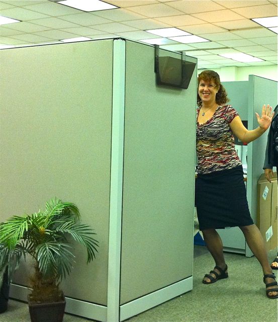 Breaking into the Cubicle