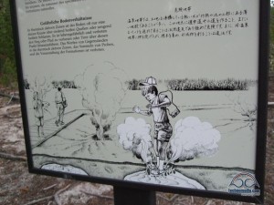 Love this sign from Yellowstone National Park. Yup, getting steamed like a hot dog in a hot vent would suck. 