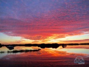 Now that's good stuff!