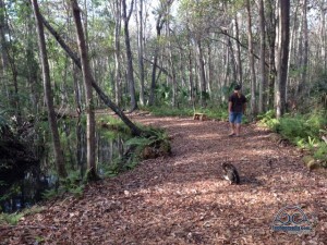 Nature trail at Holiday Springs RV