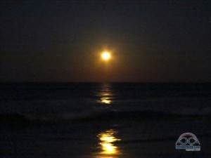 Gorgeous spring moonrise over the ocean last night