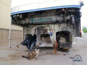 We could re-power with a Cat engine??