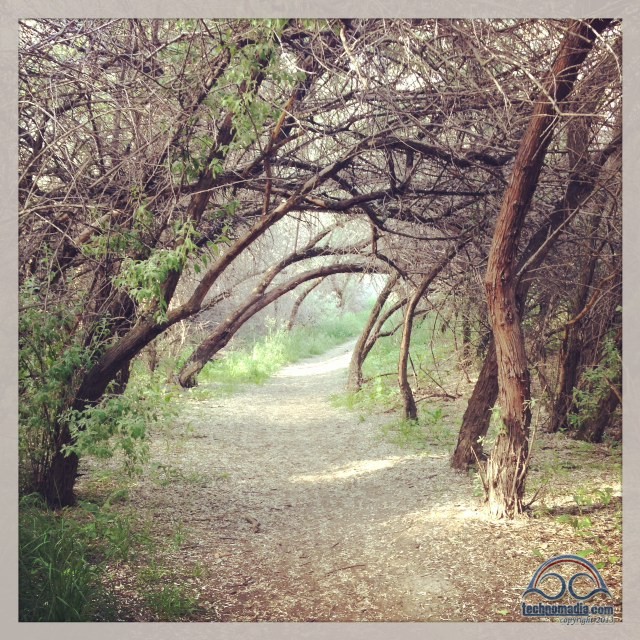 Hiking trails in Two Moon Park.