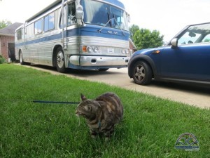 We love being temporary neighbors!