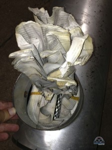 You can see right through to the interior protective mesh. I find it interesting that there is no outside mesh...