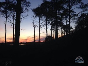 A glorious sunset greeted us upon our arrival to Florida last night!