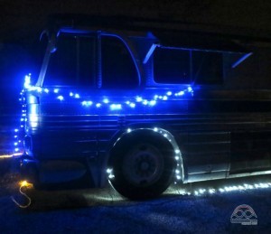 Zephyr dressed for the holidays!