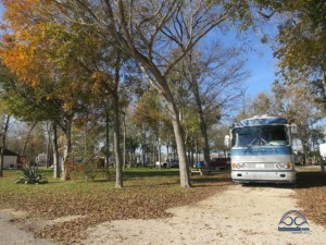 Hill Shade RV Park in Gonzalez, TX. 