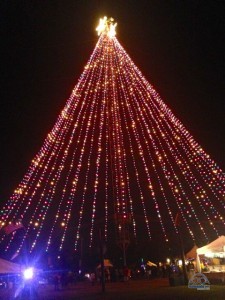An Austin tradition - the Zilker Christmas Tree.