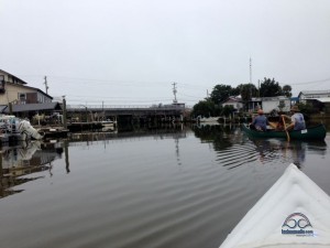 The fog cleared, it wasn't ridiculously cold - time to explore Cedar Key by kayak!