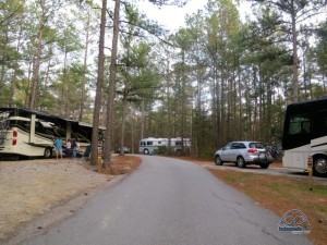 Love our nomadic neighborhood! Nealy's on the right, RV-AGoGo on the left and then us.