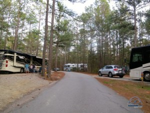 Love our nomadic neighborhood! Nealy's on the right, RV-AGoGo on the left and then us. 