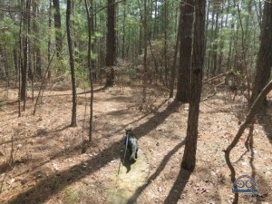 Taking Kiki for a hike.