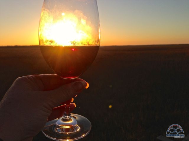 Wine on the Horizon!