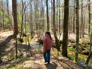 Love this mountain creek hiking trail - accessible right from our doorstep!