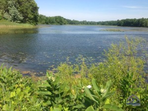 From one of our hikes at Fort Custer SP.