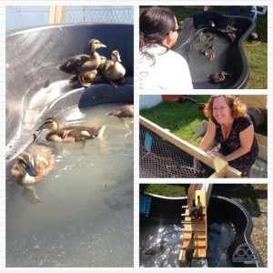 Processed with Moldiv