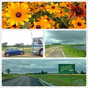 Processed with Moldiv