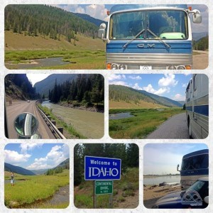 Processed with Moldiv