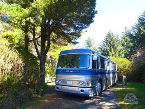 We often angle into our site to give us privacy. In this case, it gave us a private 'yard' too!