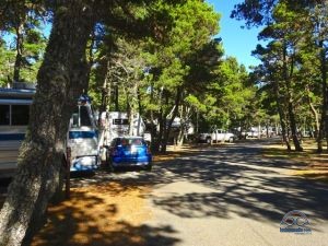 Bullard's Beach SP is much less secluded feeling! 