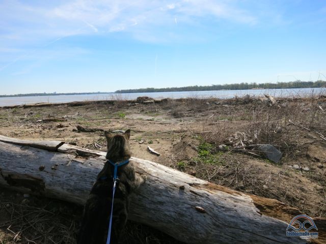 The Mississippi River sure is big!