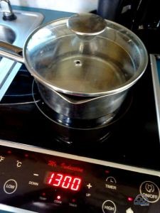 Our primary means of cooking - induction cooktop. 
