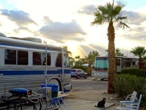 RV Resorts & Parks can be pretty awesome.. this one has palm trees and hot springs!