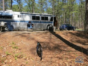 Great privacy and lots of trees!