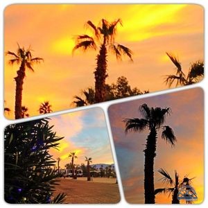 Processed with Moldiv