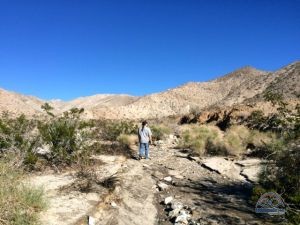 Desert hiking nearby.