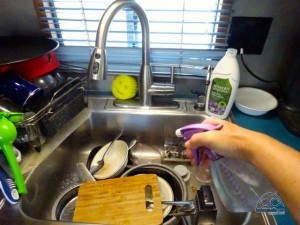 Pre-soaking the dishes