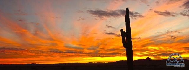 cibola cactus sunset