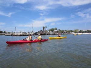 Kayaking at Cedar Key with friends (past visit)