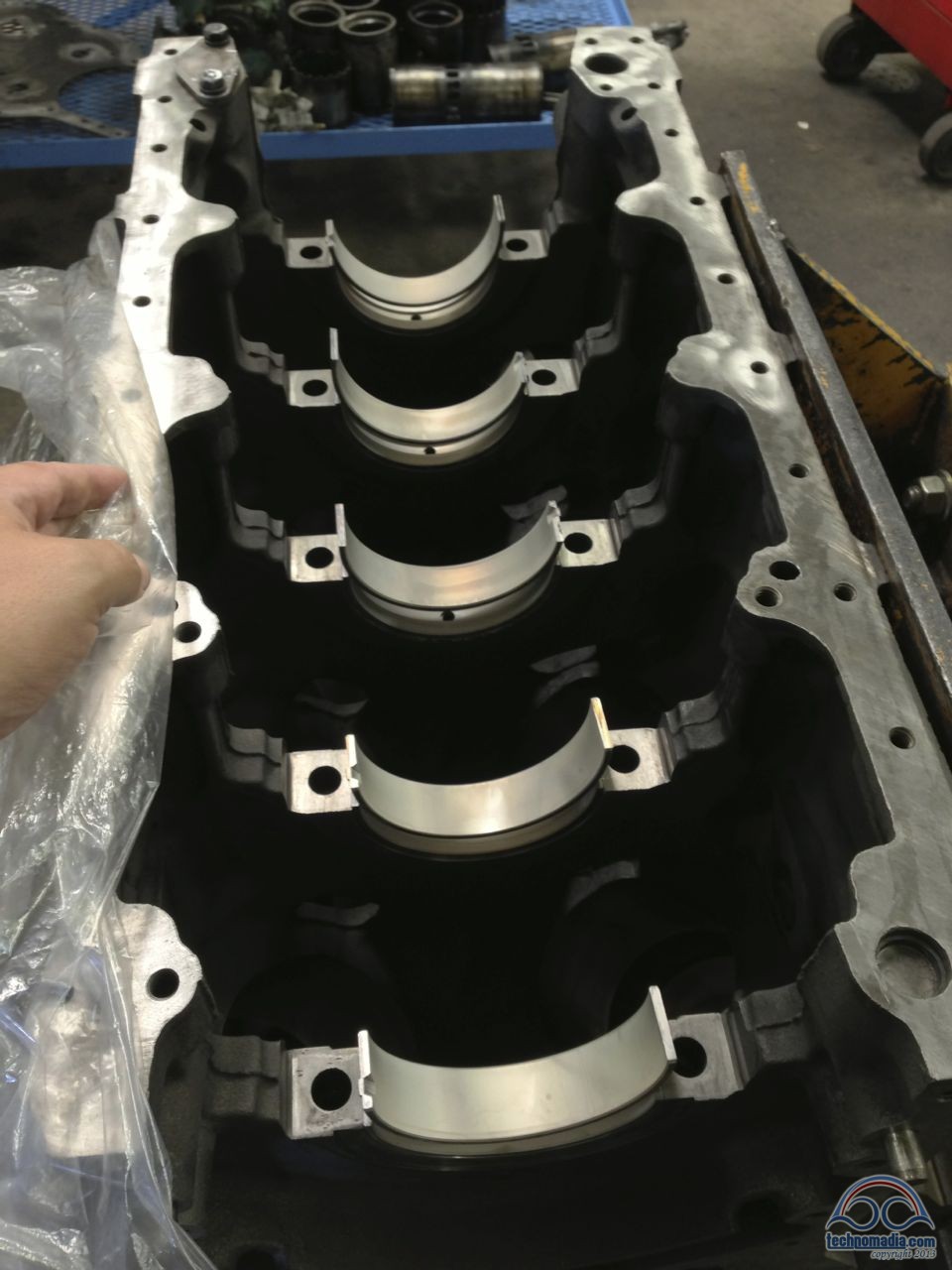 Crank Bearings Technomadia