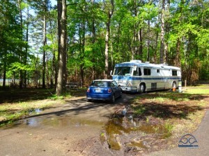 Our lake front site at Daingerfield State Park. Large and wooded!