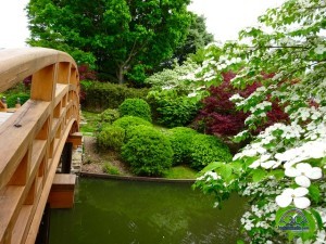 The lovely Japanese Gardens.