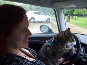 Kiki taking her shift driving. (Note, Kiki doesn't actually drive and nor does she ride on the driver's lap.)