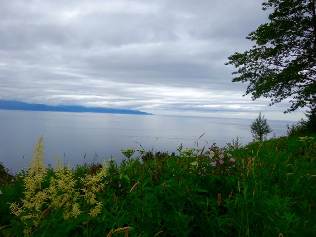 Views in front of the park.