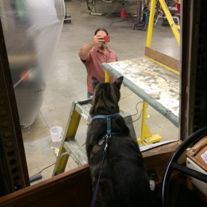 Kiki checking out the new view in the paint booth!