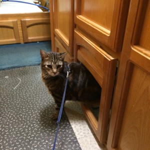 Kiki checking out her new powder room. 