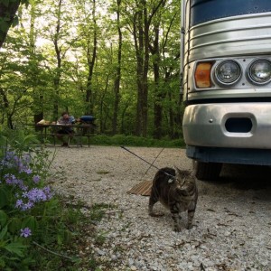 Me hooked to a picnic table, while Chris is doing stuff for cats.