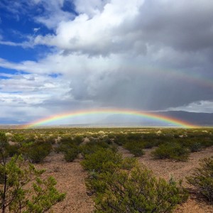 Ahhhh.... lovely rainbow on our walk. Just before the OmniLynx storm hit. 