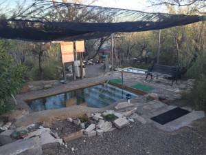 One of the hot pool areas (the public clothing required area).