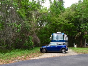 Our campsite - nicely private. 