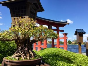 Wandering around the world at Epcot.
