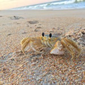 It can't be all perfect, we have to be crabby about something.