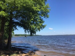 Lake Marion from within the park. 