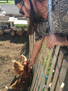 Feeding chickens at a friend's farm... they even gifted us a dozen fresh eggs. 